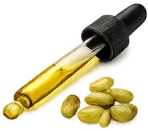KetoSlim Cream — Traubenkernöl
